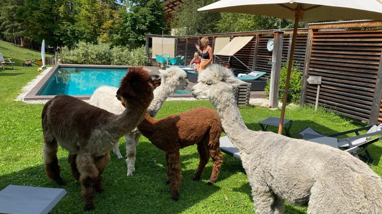 Dolomit Boutique Hotel Ла Вилла Экстерьер фото